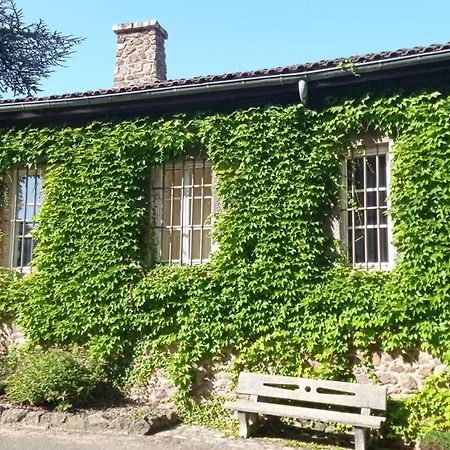 La Ferriere Bed & Breakfast Saint-Medard-en-Forez ภายนอก รูปภาพ