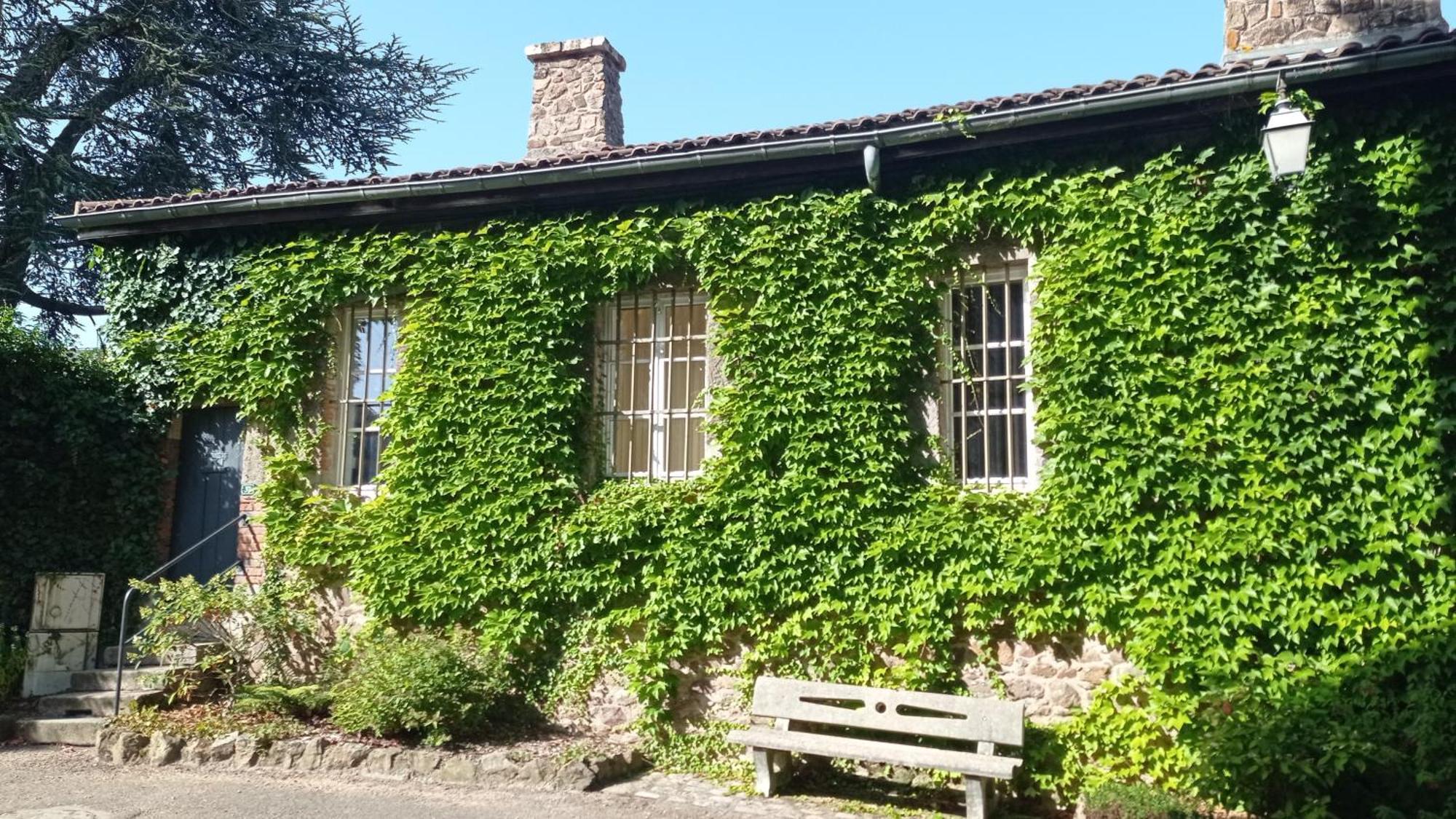 La Ferriere Bed & Breakfast Saint-Medard-en-Forez ภายนอก รูปภาพ